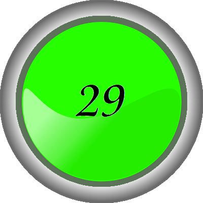 bouton 29